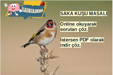 Saka Kuşu Takvimi Masalı